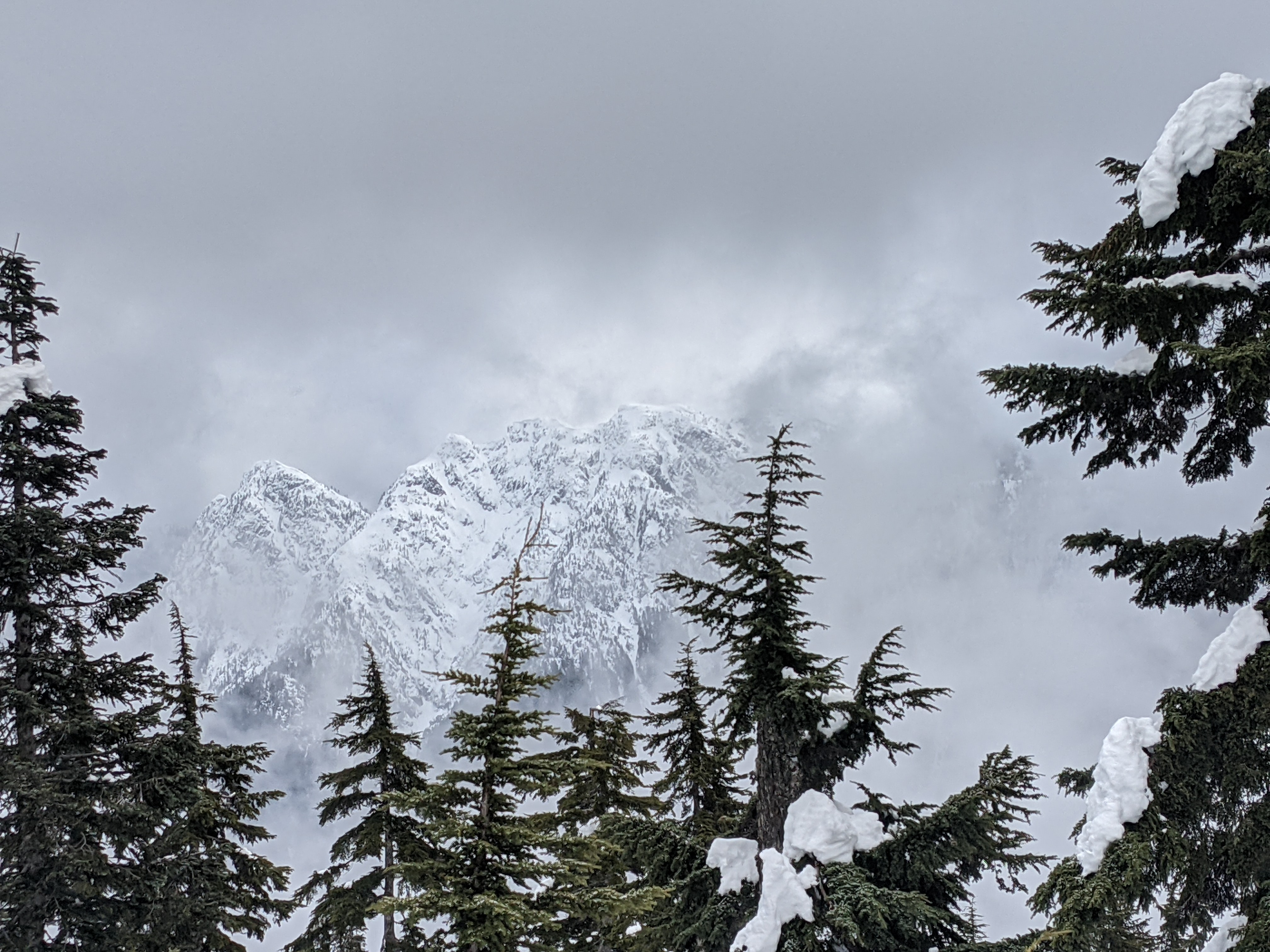 View from Hollyburn 2